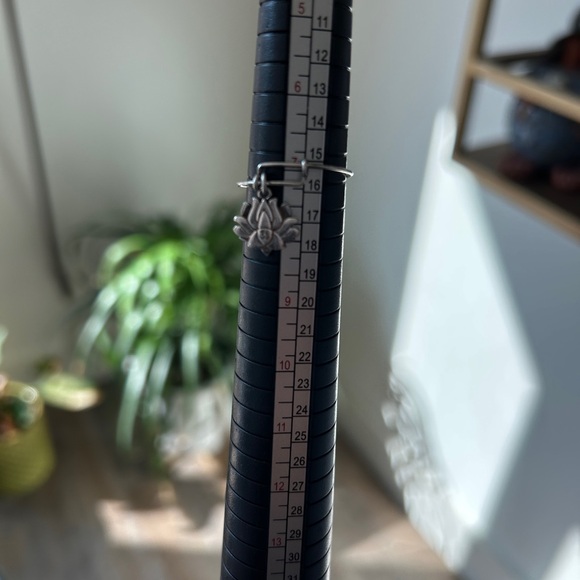 Silver Charm Rings Set - Picture 6 of 7